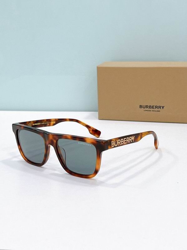 Burberry Sunglasses2 ID:20250529-263